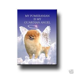 pomeranianangel.jpg